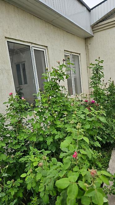 Продажа коттеджей и домов: Продаётся ДомЦентре Токмокаулица Борончиева 30,участок 5 — 24