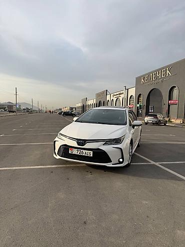 freightliner columbia: Toyota Corolla: 2019 г., Автомат, Бензин, Седан — 2