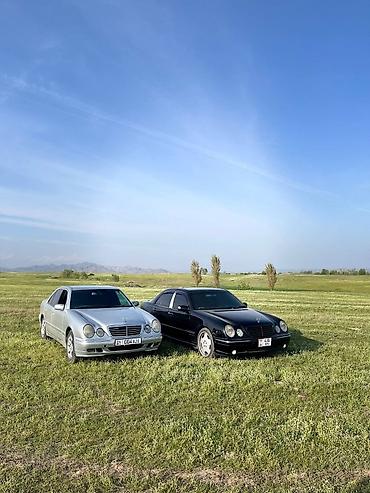 bew e39: Mercedes-Benz E-Class: 1999 г., 5 л, Автомат, Бензин, Седан — 8
