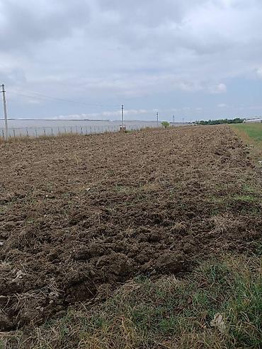 gencede torpaq alqi satqi: 136 sot, Kənd təsərrüfatı, Kupça (Çıxarış) — 1