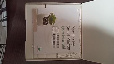 умный инкубатор: Ivy Smart Planter — умный горшок для домашних растений. Особенности — 3