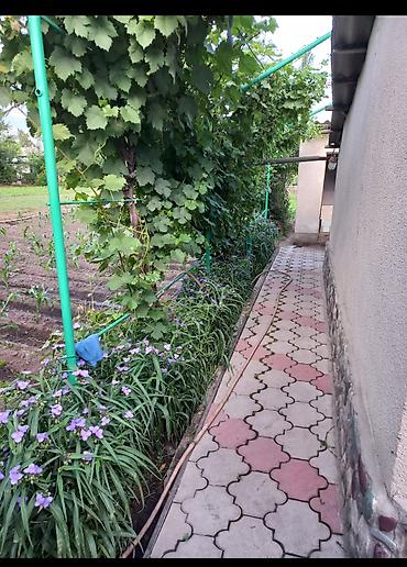 Продажа коттеджей и домов: Продам дом. Три двора,хозяйственный,главный,механический. Имеется — 12