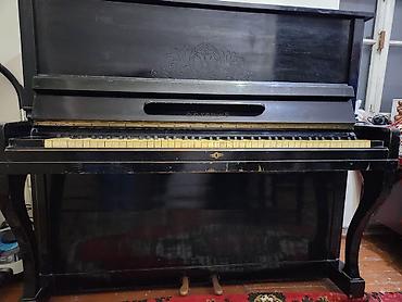 elektron saz: Piano, Belarus, Akustik, İşlənmiş, Ünvandan götürmə — 2