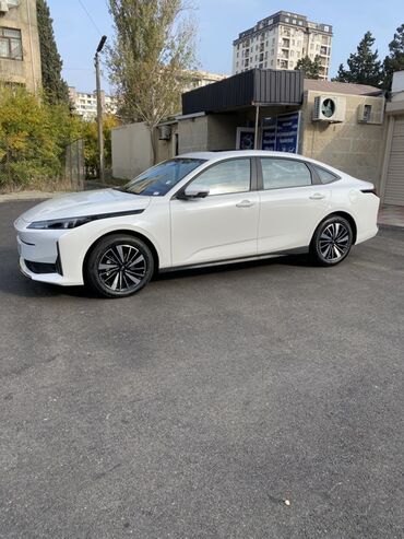 Voyah: Voyah 1.5 l — 4