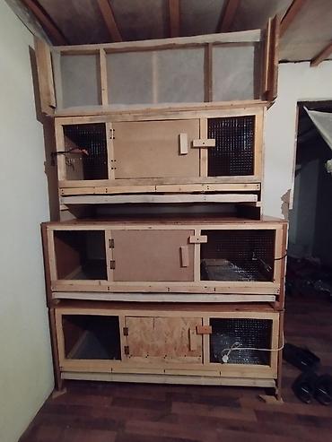 Зоотовары: Брудер для цыплят. универсальный Брудер жожого бодоного коенго хомяка at lalafo.kg — 7 Зоотовары: Брудер для цыплят. универсальный Брудер жожого бодоного коенго хомяка — 7