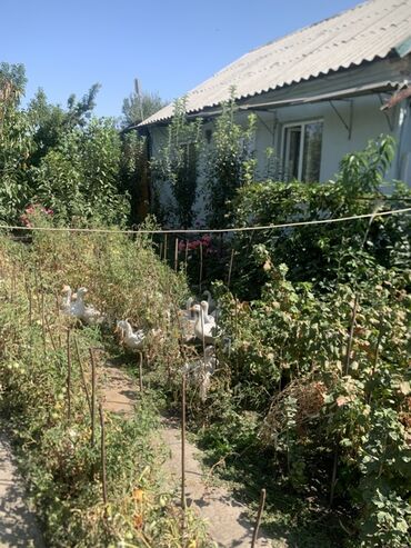 Продажа домов: Дом, 92 м², 5 комнат, Собственник, Старый ремонт — 17