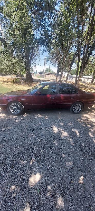 меняю на е34: BMW 5 series: 1992 г., 2.5 л, Механика, Бензин, Седан — 7