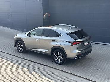 Lexus: Lexus NX: 2020 г., 2.5 л, Вариатор, Гибрид, Кроссовер — 5