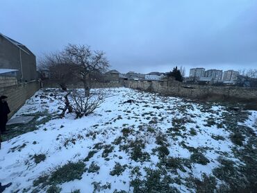 masazirda torpaq qiymetleri: 10 sot, Tikinti, Maklerlər narahat etməsin, Kupça (Çıxarış)