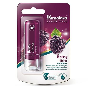 kosmetika səbəti: №: 3873 Məhsulun adı: Dodaq balzamı Himalaya Berry Shine, 4.5 q Brend — 2
