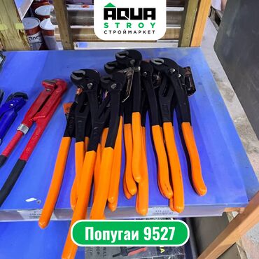 попугай цена бишкек: Попугаи 9527 Для строймаркета "Aqua Stroy" высокое качество продукции