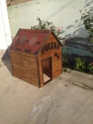 Yuvalar: It və pişik yuvaları — 17