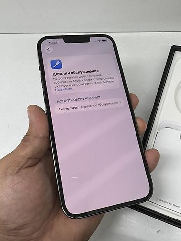 type c displayport: IPhone 13 Pro (Sierra Blue) - Корпус: хирургическая нержавеющая — 6