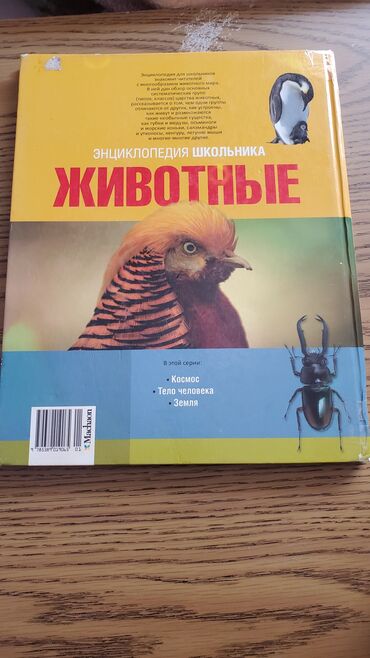 Digər kitablar və jurnallar: Дорогие большие Книги для Детей с яркими иллюстрациями и фотографиями — 4