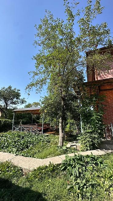 снять коттедж зимой: 🏡 **Продаётся 2-этажный кирпичный дом в дачном кооперативе — 2