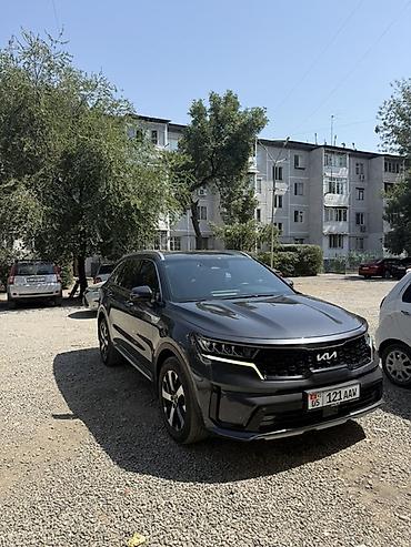 радиятор: Kia Sorento: 2023 г., 2.2 л, Автомат, Бензин, Кроссовер — 1