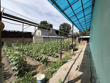 Недвижимость: 10 соток, Для строительства, Договор купли-продажи, Красная книга, Тех паспорт — 5