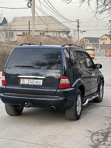 Mercedes-Benz: Mercedes-Benz ML-Class: 2002 г., 4 л, Автомат, Дизель, Кроссовер — 4