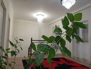 Bağ evlərinin satışı: Digah, 200 kv. m, 4 otaqlı, Hovuzsuz, Telefon, Kanalizasiya, Kombi — 16