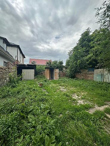 таллинский: 2 соток, Договор купли-продажи, Красная книга, Тех паспорт — 1