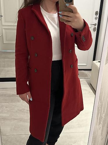 pomerian spic: Palto, Zara, XS — 2