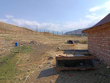 Продажа участков: 120 соток, Для строительства, Красная книга — 14