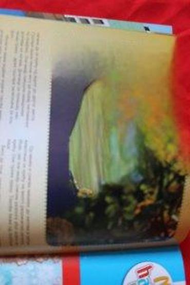 Sličice i albumi za sličice: NATIONAL GEOGRAPHIC JUNIOR 31 | National Geographic Junior broj 31 — 11