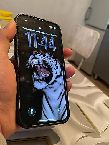 Apple iPhone: IPhone 13, Старлайт, Чехол, 76 % — 1