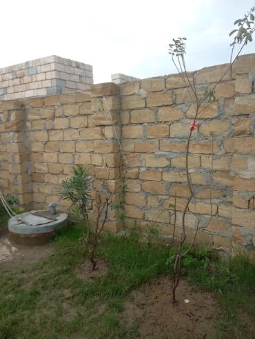 Torpaq sahələrinin satışı: 3 sot, Tikinti, Mülkiyyətçi, Kupça (Çıxarış) -da lalafo.az — 3 Torpaq sahələrinin satışı: 3 sot, Tikinti, Mülkiyyətçi, Kupça (Çıxarış) — 3