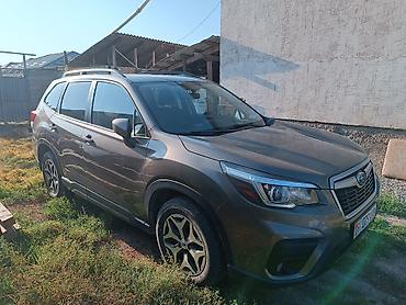 forester: Subaru Forester: 2020 г., 2.5 л, Вариатор, Бензин, Кроссовер — 5