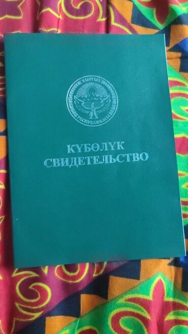 дом фрунзе сафхоз: 1 соток, Айыл чарба үчүн, Техпаспорт
