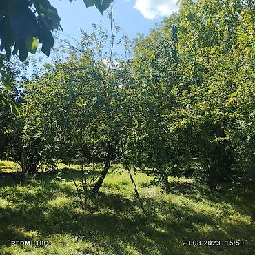 Продажа участков: 25 соток, Купчая — 4