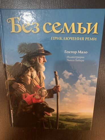 Детские книги: Цена за обе книги Две книги для детей: "Без семьи. Приключения Реми"