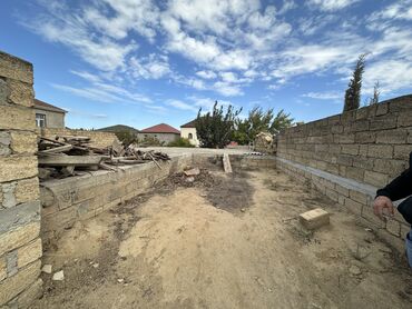 baş zəyzid torpaq: 6 sot, Kənd təsərrüfatı, Mülkiyyətçi, Kupça (Çıxarış), Bələdiyyə