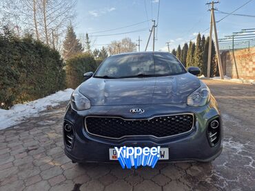 Kia: Kia Sportage: 2018 г., 2.4 л, Автомат, Бензин, Кроссовер