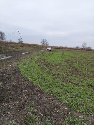 Torpaq sahələrinin satışı: 150 sot, Biznes üçün, Barter mümkündür, Kupça (Çıxarış) — 2