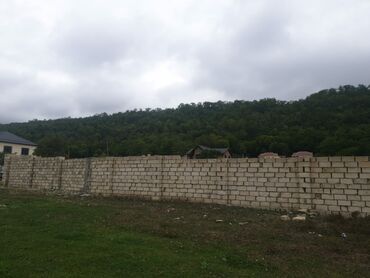 Torpaq sahələrinin satışı: 15 sot, Kənd təsərrüfatı, Mülkiyyətçi, Kupça (Çıxarış) — 15