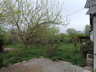 Torpaq sahələrinin satışı: 20 sot, Biznes üçün, Mülkiyyətçi, Kupça (Çıxarış) — 7