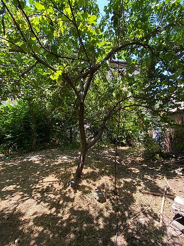 Продажа квартир: 3 комнаты, 76 м², 2 этаж — 24