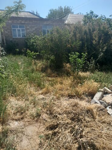 lenkeran torpaq sahesi: 1 соток, Для строительства, Собственник