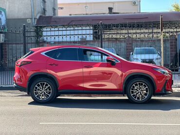 Lexus: Lexus NX: 2022 г., Автомат, Бензин, Кроссовер — 5