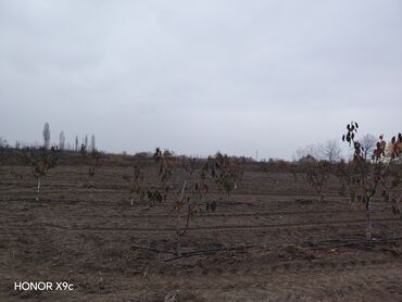 Torpaq sahələrinin satışı: Mülkiyyətçi — 10