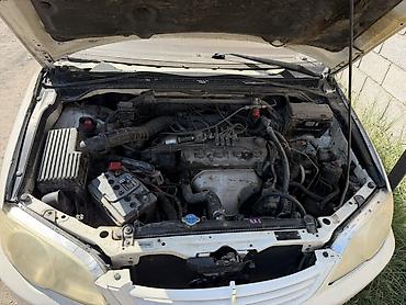 хонда одиссей крыло: Honda Odyssey: 2001 г., 2.3 л, Автомат, Бензин, Минивэн — 4
