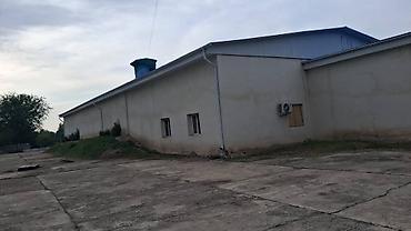 хранение вещей: Сдам в аренду ангар 400 КВм под овощифрукты и другие товары. Село — 1