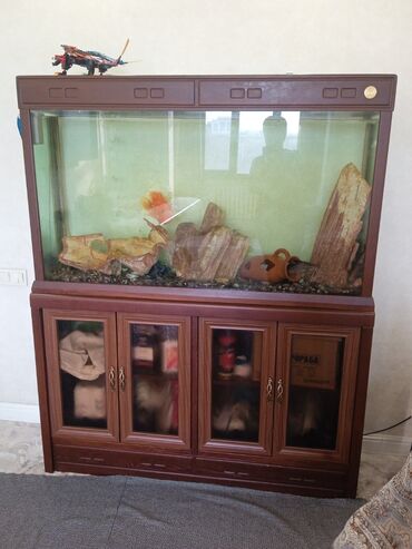 рыбка аквариум: Продаю аквариум с рыбками, 350 литров. Вместе со шкафом. Очень