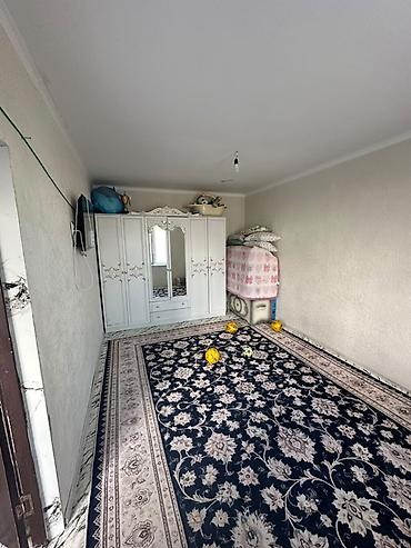 Батирлерди ижарага берүү: Килем Жаңы — 3