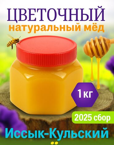 тачка бишкек: 🍯 НАТУРАЛЬНЫЙ МЁД ИЗ ИССЫК-КУЛЯ Собран свежайшим сбором — 1–8 июня