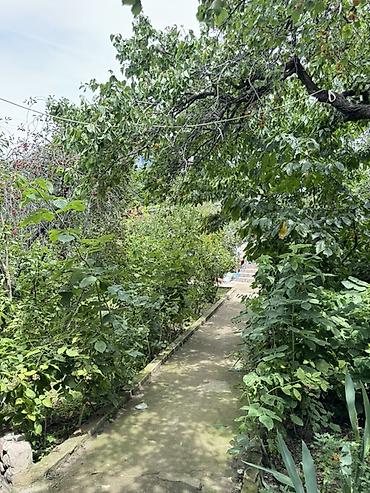 вип иссык куль: Дом (частный сектор), Чолпон-Ата, 7 мест — 9
