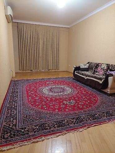 1 otaqli ucuz menzil: 18 kv. m, 1 otaqlı, İnternet, Artezian quyusu, Qaz — 9
