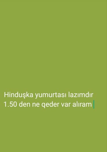 hinduska yumurtasi: Dişi, Damazlıq